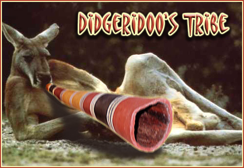 Didgeridoo's Tribe